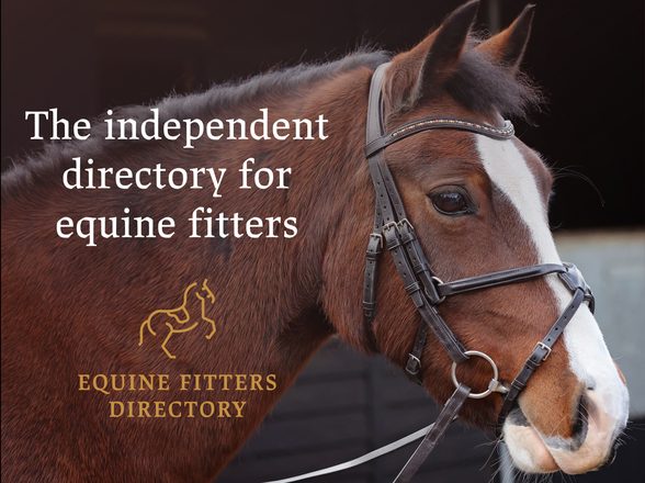 Saddlers' Company news: Equine Fitters Council and Directory