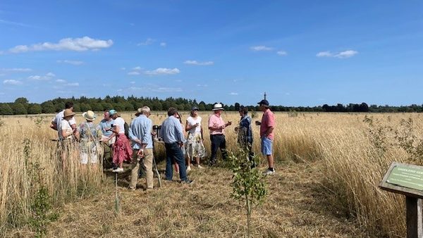 Saddlers' Company news: Members Call in to Blenheim to Check Up on Saddlers Copse