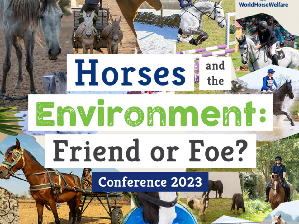 World Horse Welfare Conference 2023